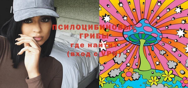 ECSTASY Магас