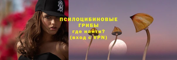 ECSTASY Магас